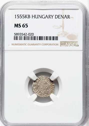 ハンガリー - 1555KB - フェルディナンド 1 世デナール - クレムニッツ - NGC MS65 - 最高のポップ、これ以上のものはありません!