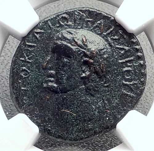 ウェスパシアヌス 本物 古代マケドニア コイノン ギリシャ盾型 ローマコイン NGC i72652