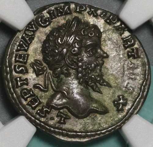 198 NGC AU セプティミウス セウェルス ローマ帝国 ラオデキア デナリウスの勝利 (21060503C)