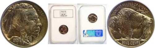 1915年 5C バッファローニッケル NGC MS-65