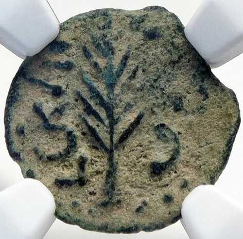 NERO 古代聖書エルサレム ローマ コイン ポルシウス フェストゥス セント ポール NGC i82707 117,150円