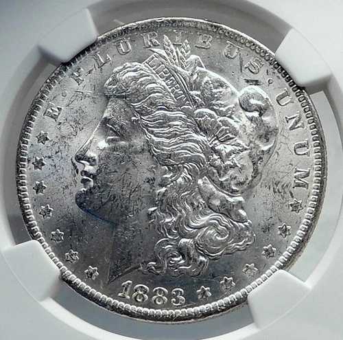 1883年 アメリカ合衆国 銀製 モルガン USドルコイン イーグル NGC MS i81179