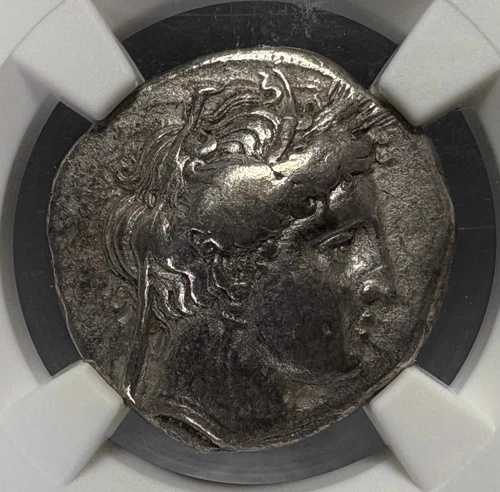 ルカニア、メタポントゥム - 紀元前 340 ～ 330 年頃 - AR ステーター - NGC VF｜WORLD RESOURCE【QUEEN店】