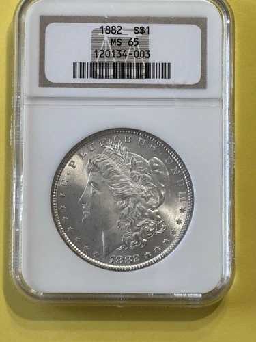 1882-P モルガン銀貨 NGC MS65 美しい外観と光沢|WORLD RESOURCE【QUEEN店】