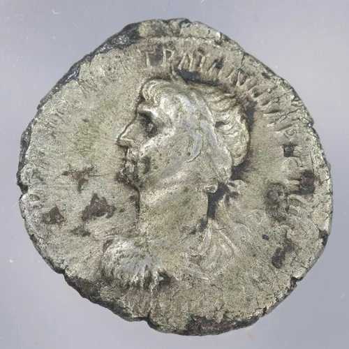 トラヤヌス AR ドラクマ ローマ属州ラクダ アラビア ペトラエア ボストラ 98-117 年 NGC VF