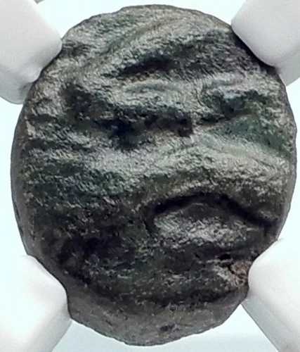 トラキア王国 アダイオス王 希少 R1 古代ギリシャコイン イノシシの槍 NGC i81899