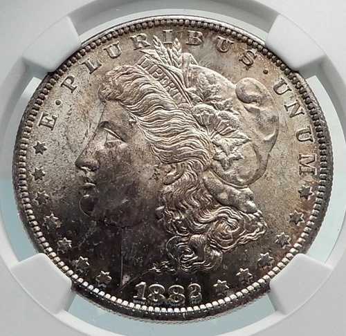 1882年 アメリカ合衆国 銀製 モルガン USドルコイン イーグル NGC MS i79844