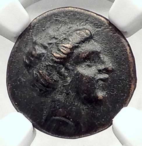 テッサリアのラリッサ 紀元前350年 ニンフと馬 真正古代ギリシャコイン NGC i72842｜WORLD RESOURCE【QUEEN店】