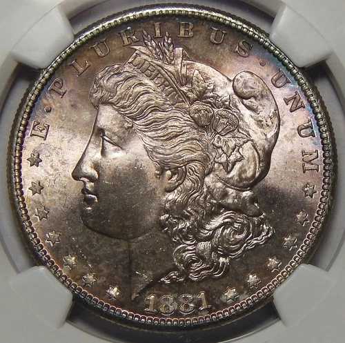 1881年-S NGC MS67 モーガンドル-｜WORLD RESOURCE【QUEEN店】