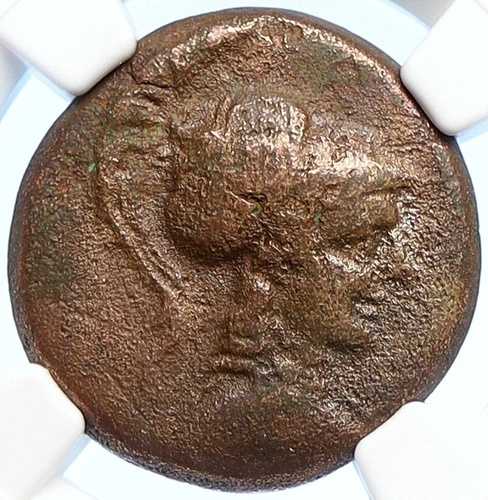 アパメイア・フリギア 紀元前88年 アテナ 双子座 帽子 鷲 古代ギリシャコイン NGC i106722