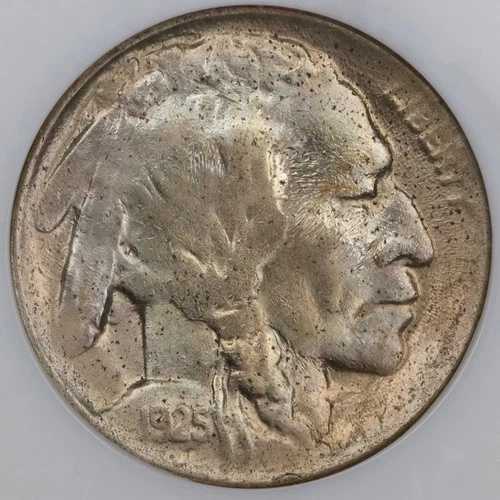 1925-D 5セントバッファローニッケル - NGC MS 63 ファッティホルダー