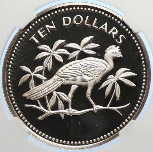 1974年 ベリーズ 鳥類 オオハナガラス オールドプルーフ シルバー 10ドルコイン NGC i106409 187,550円
