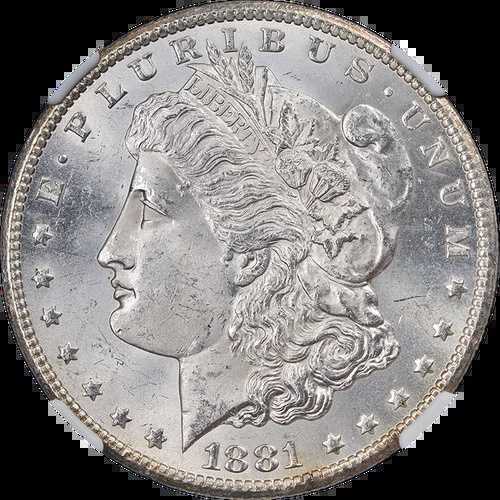 1881-CC モルガン銀貨 NGC MS64 ブラストホワイト 素晴らしい外観 172,150円