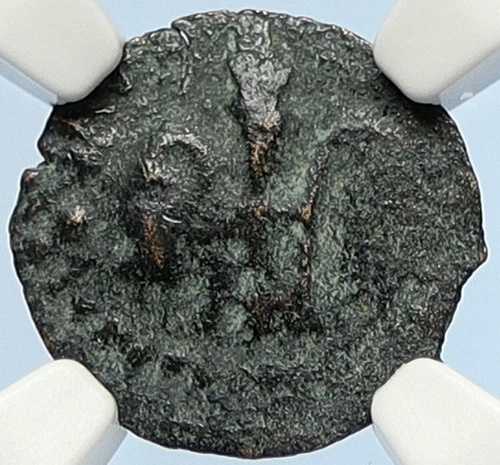 ポンティウス・ピラト ティベリウス エルサレム イエス・キリスト裁判 古代ローマ貨幣 NGC i106164|WORLD RESOURCE【QUEEN店】