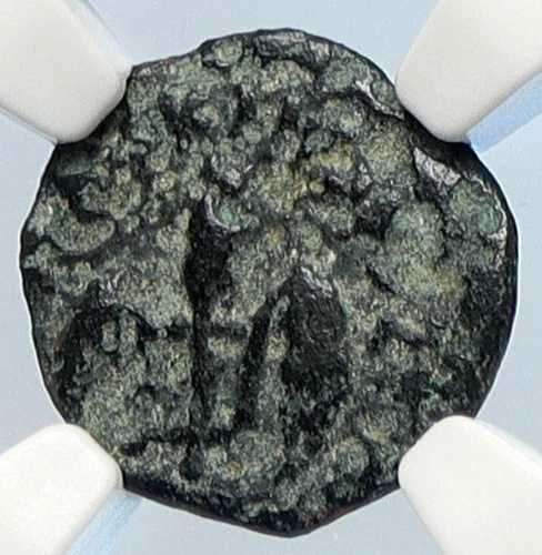 ポンティウス・ピラト ティベリウス エルサレム イエス・キリスト裁判 古代ローマ貨幣 NGC i106150|WORLD RESOURCE【QUEEN店】