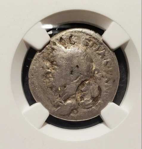 NGC 本物 G コイン キプロス ビスパシアン テトラドラクム 76/7 CE 非常に希少 -