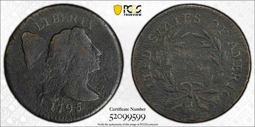 1795年 プレーンエッジ フローイングヘア リバティキャップ ラージセント PCGS VF 詳細（腐食あり）｜WORLD RESOURCE【QUEEN店】