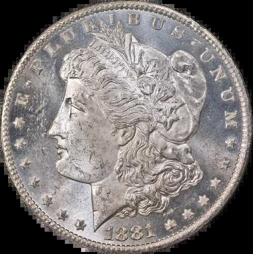 1881-CC GSA モルガン銀貨 NGC MS63 ブラストホワイトストロングストライク|WORLD RESOURCE【QUEEN店】