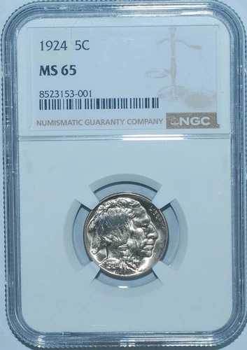 1924 P NGC MS65 バッファローニッケル
