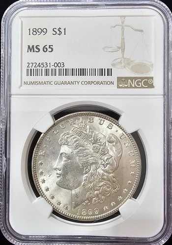1899年モルガン・ダラー MS-65 NGCコレクションビデオ|WORLD RESOURCE【QUEEN店】
