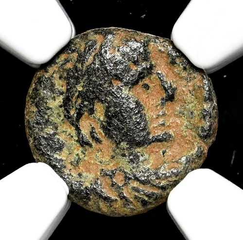 オストゴート族。アタラーリック。 526-534。 ? ヌムス。モノグラム、NGC ファイン