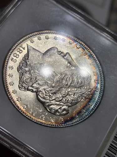 1882-S モルガン シルバー ダラー ヴィンテージ NGC ファッティ ホルダー ☆ レインボー トーン OBV ☆ OGH 65,945円