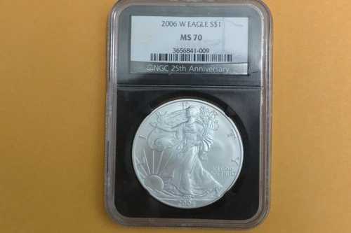 2006-W（バーニッシュド）アメリカンシルバーイーグル NGC MS70