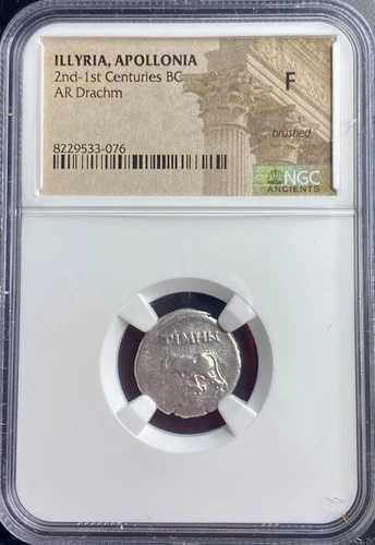 古代ギリシャ イリュリア 銀貨 ドラクマ 紀元前229-100年 NGC 鑑定済 良品 ギリシャ アポロニア