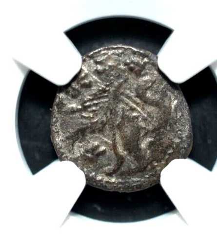 セルビア デナール、DJRADJ BRANKOVIC (1427-1456)、NGC 認定、(288)