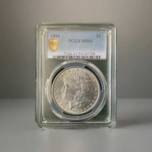 1886年 P シルバー モルガン ダラー MS 61、PCGS ゴールド シールド - DJ