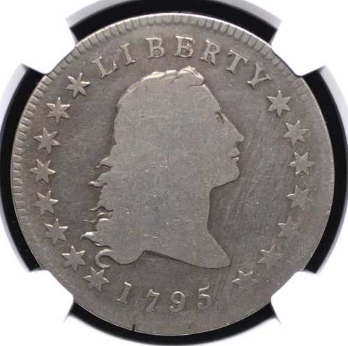 1795年 フローイングヘア ダラー 2枚葉 NGC VG 詳細「クリーニング済み」 ライトグレー 全体