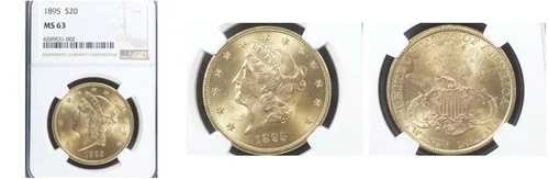 1895 $20 MS63 NGC-リバティヘッドダブルイーグル--｜WORLD RESOURCE【QUEEN店】