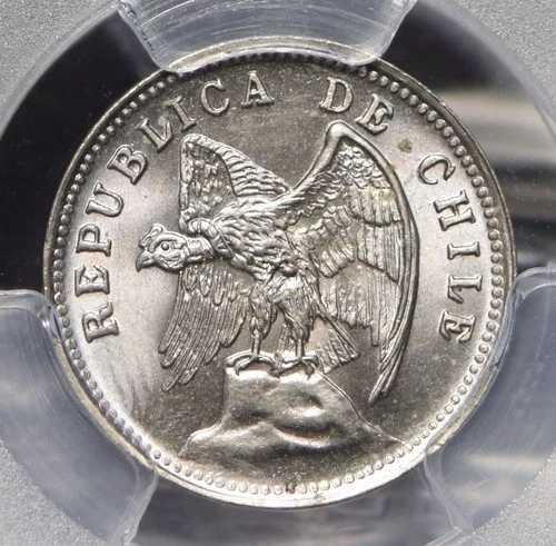 チリ 1938年 5センタボ アンデスコンドル 動物 PCGS MS65 PC0693 同梱配送｜WORLD RESOURCE【QUEEN店】 42,185円