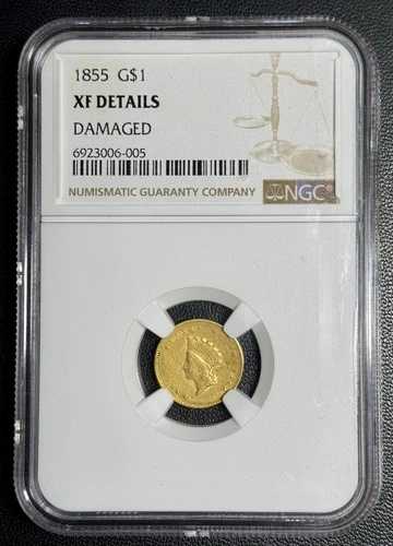 1855年 1ドル インディアン・プリンセス・ヘッド金貨 タイプ2、XF 詳細。保険船 137,500円