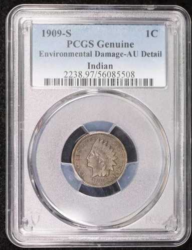 1909 S スモールセント インディアンヘッド PCGS - AU 詳細 (97 - 環境ダメージ) BN