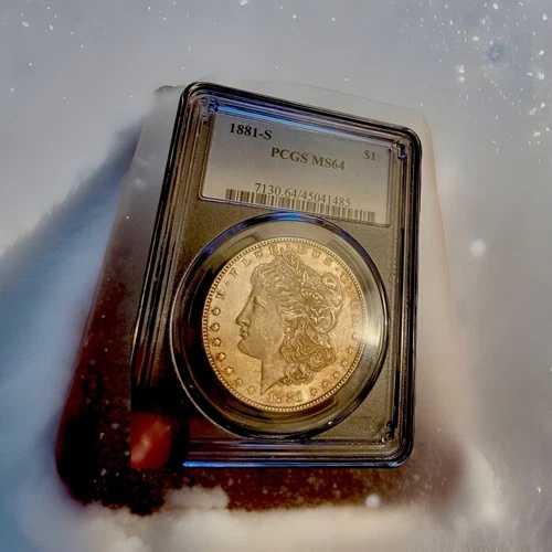 1881年 S モルガン銀貨 Ms. 64 美しい色調