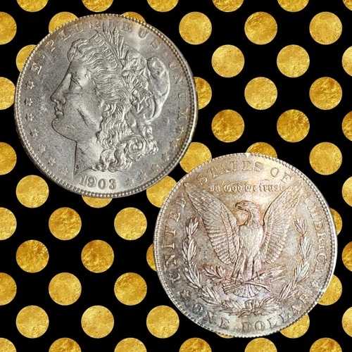 1903年モルガン銀貨、裏面は美しい色調。T5405