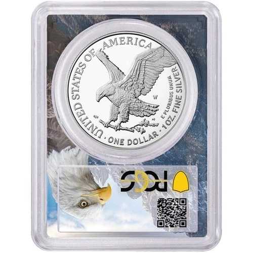 2021-W プルーフ $1 タイプ2 アメリカンシルバーイーグル PCGS PR70DCAM FDOI イーグルフレーム 54,120円