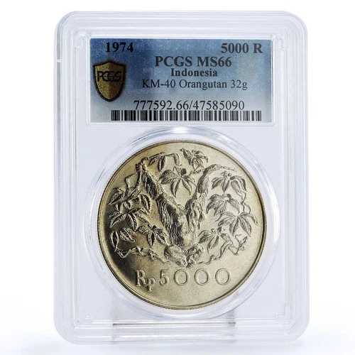 インドネシア 5000ルピア 保護 オランウータン サル 動物相 MS66 PCGS 銀貨 1974年
