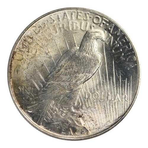 1934年ピースダラー PCGS MS-63
