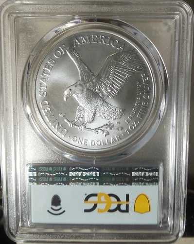 :2024(P) スター プライベート アメリカン イーグル 1オンス PCGS MS70 FDOI 発行初日トップポップ