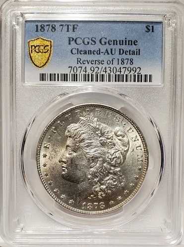 1878年 モルガン シルバードル 7TF