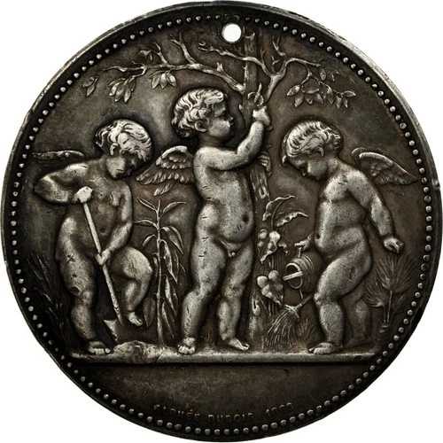 [#555304] フランス、メダル、コミック・ド・ディナン、搾取オルティコール、1875年、デュボワ