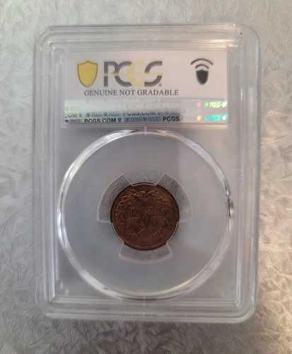 1903年インディアンセントペニー ---- クエストカラー Unc 詳細 PCGS