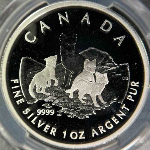 カナダ 2004年 5ドル銀貨 - PCGS PR69 - トップポップ ?? アークティックフォックス、ヴィクセンキット
