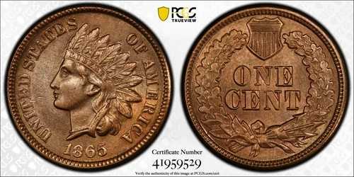 1865年 プレーン5 1セント インディアンヘッド セント PCGS UNC 詳細 環境ダメージあり