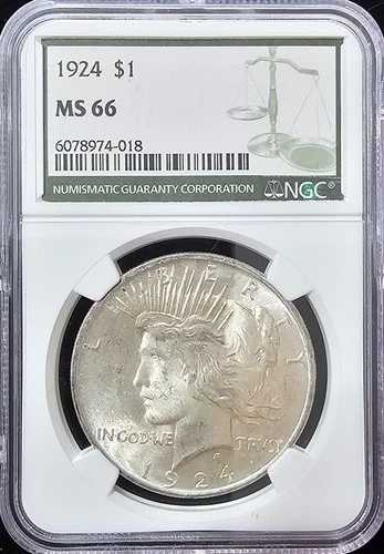 1924年 ピースダラー MS-66 NGCビデオ