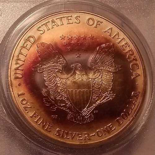2006年 W シルバーイーグル PCGS MS69 20周年記念 素晴らしいマルーントーン ウェストポイント ミント*