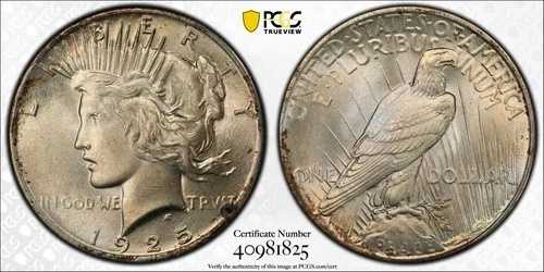1925年 P ピース銀貨 PCGS MS-66