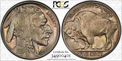1920 5c バッファローニッケル PCGS MS65 ゴールドシールド (DEJ)-